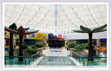osalsa_competition_282_0024.jpg