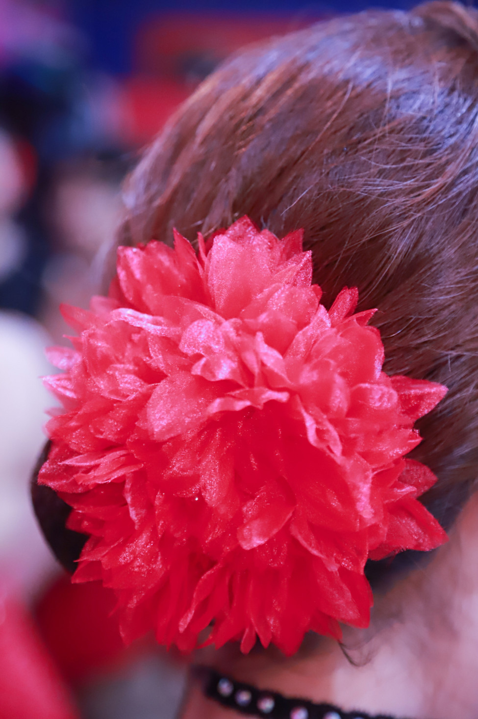 1030118537_keFT5tlp_ED8EB8ECA79114.jpg