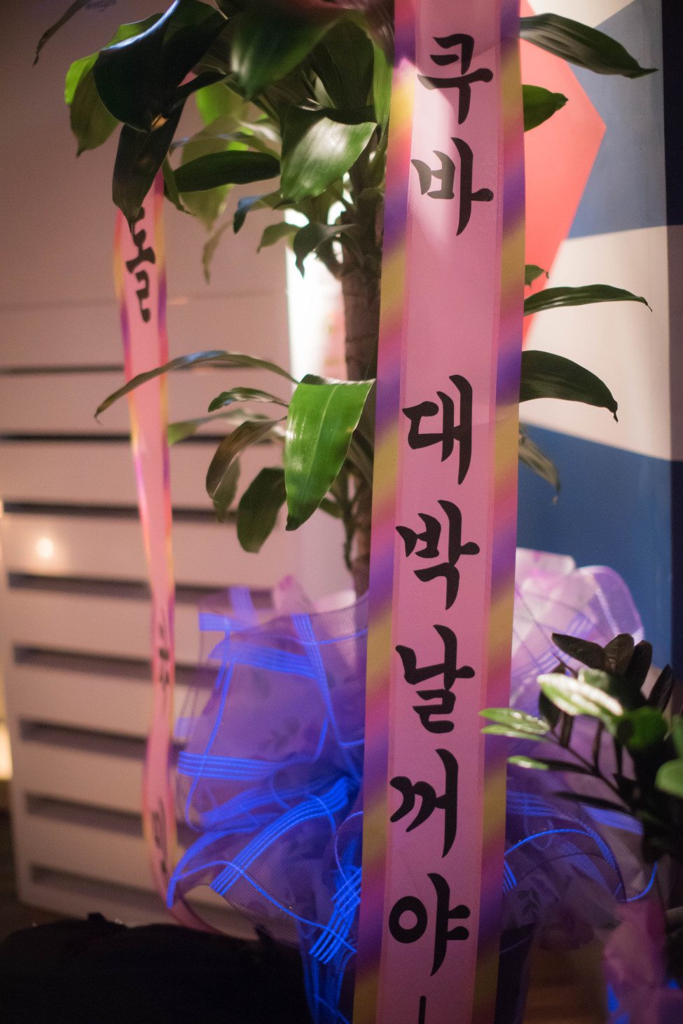 1709914696_AIbqpmOc_DSC_3915.jpg