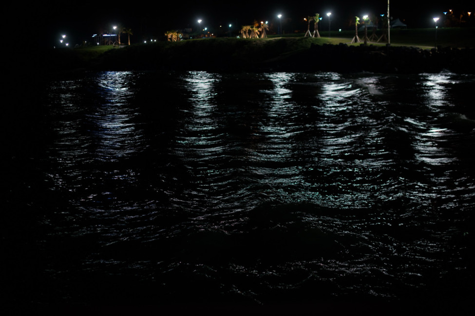2039094230_c6895910_DSC_8695.jpg