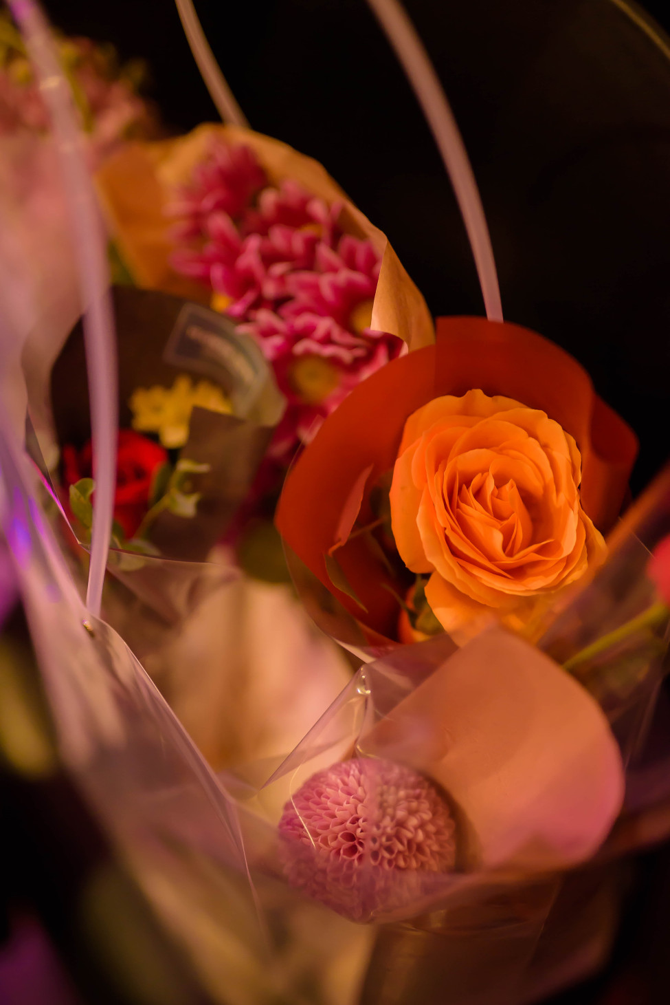 2049851438_dze19Mx3_DSC_6761.jpg